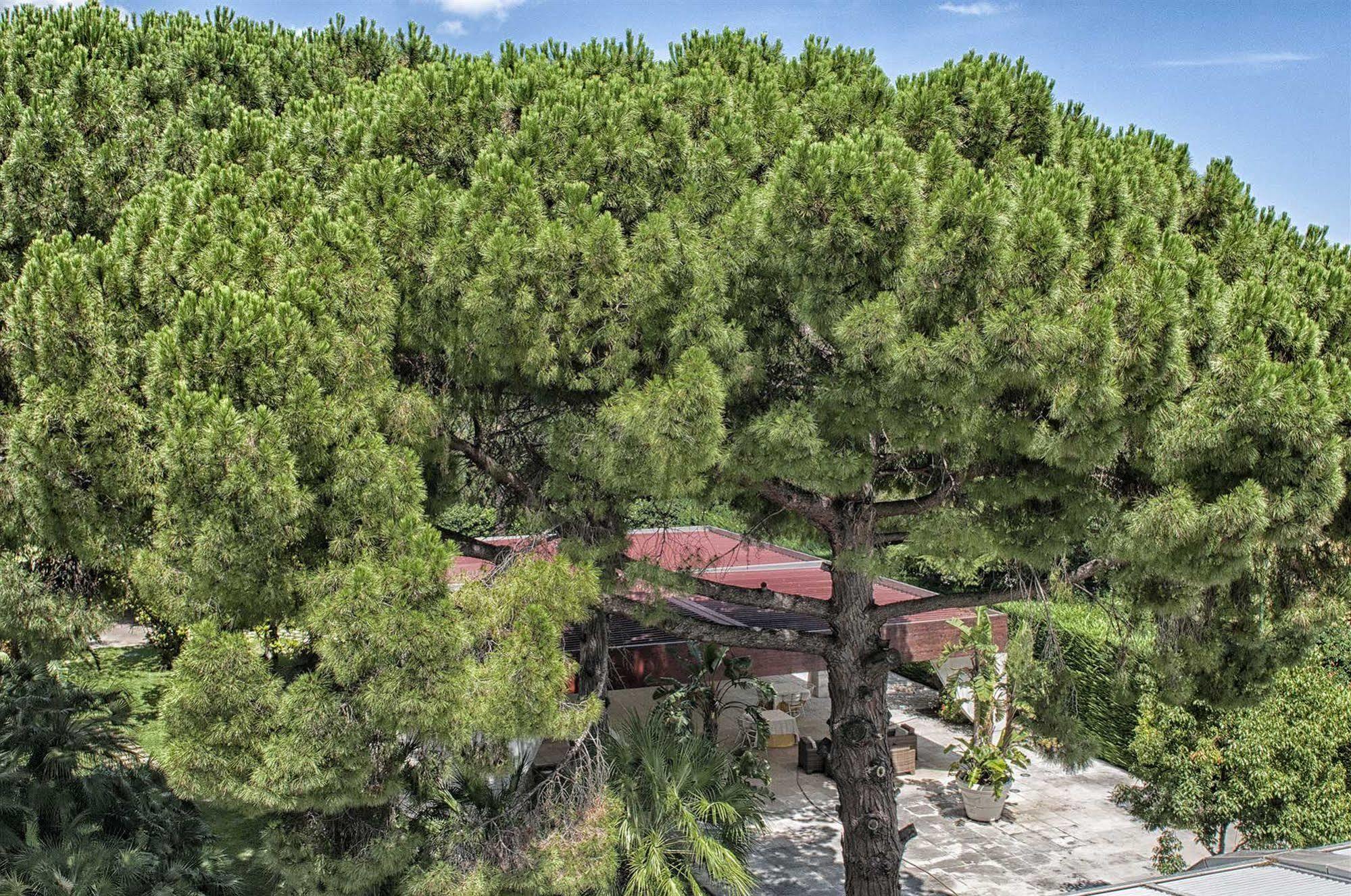 Garden Hotel Molfetta Kültér fotó